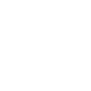Leisure & MICE Holidays